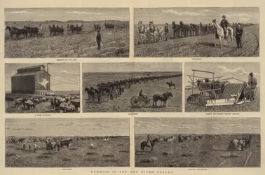 Farming in the Red River Valley